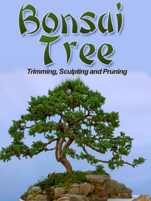 Product picture Bonsai Tree Trimming, Sculpting and Pruning MRR